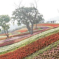 三層崎公園