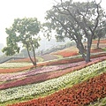 三層崎公園