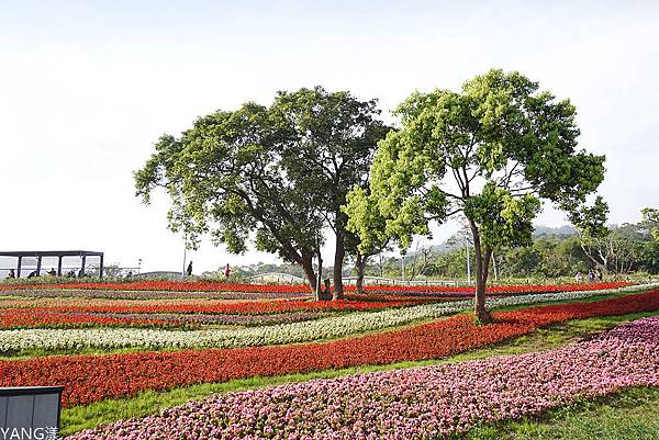 三層崎公園