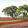 三層崎公園