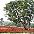 三層崎公園