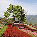 三層崎公園