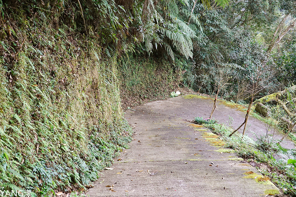 拉拉山秘密花園