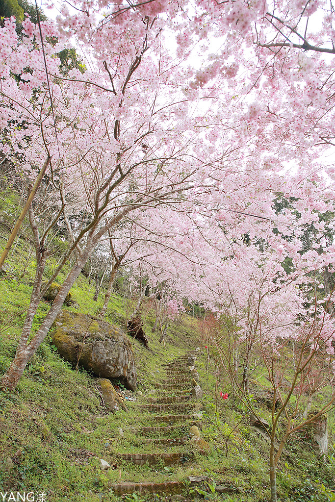 拉拉山秘密花園