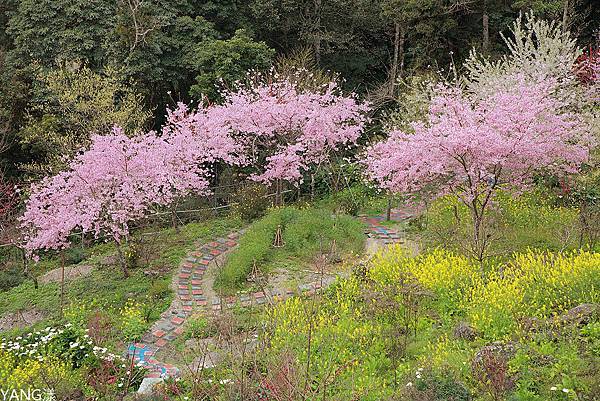 拉拉山秘密花園