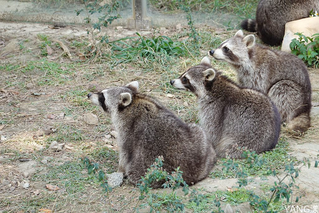 新竹公園