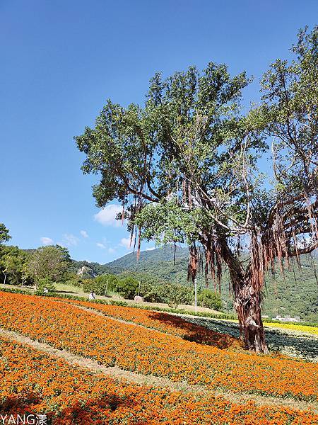 2021三層崎