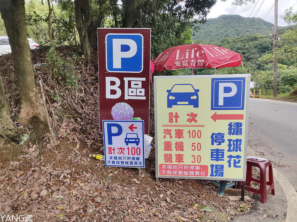 萬里高家繡球花田