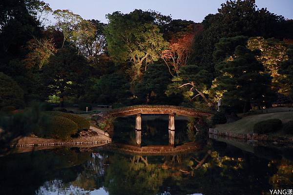 東京六義園