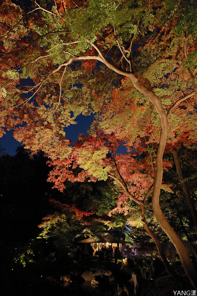 東京六義園