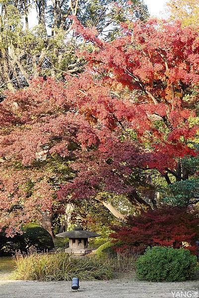 東京六義園