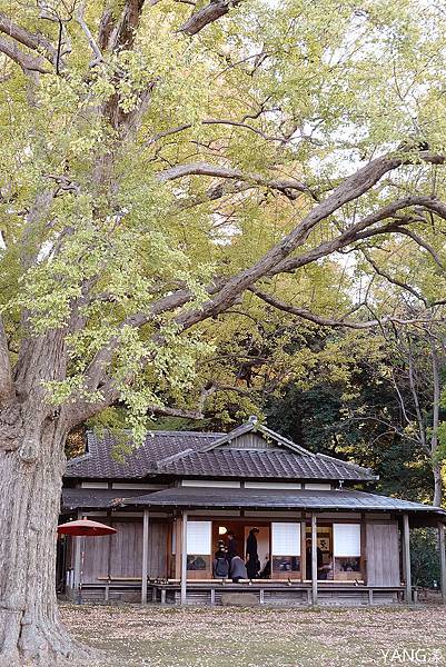 東京六義園