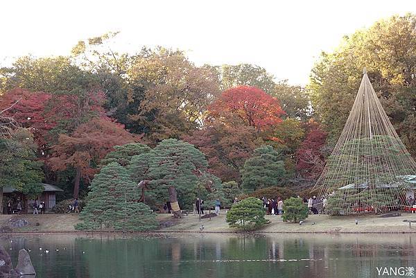 東京六義園