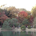 東京六義園