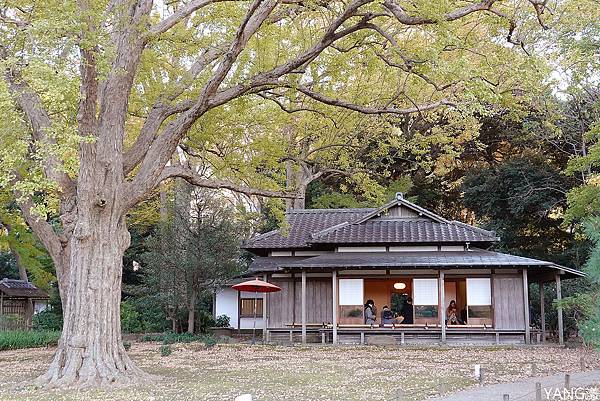 東京六義園