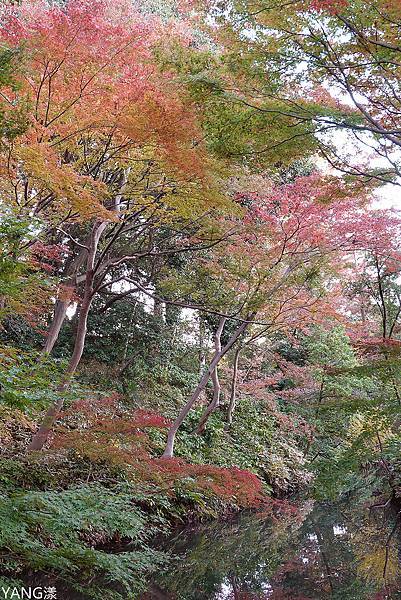 東京六義園