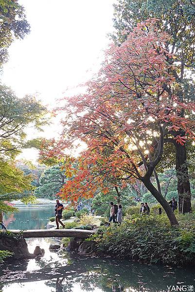 東京六義園