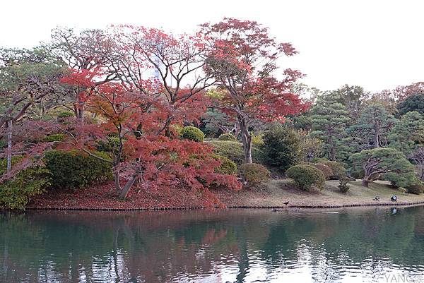 東京六義園