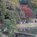 東京六義園