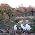 東京六義園