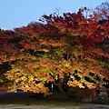 東京六義園