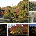 東京六義園