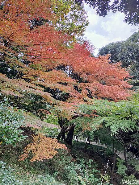 德川園