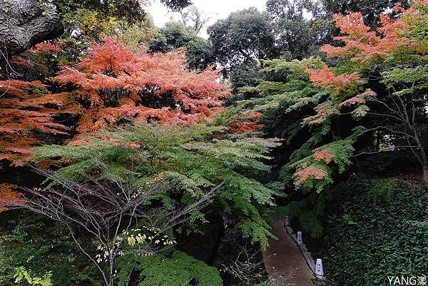 德川園