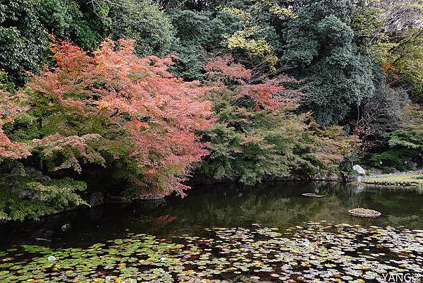 德川園