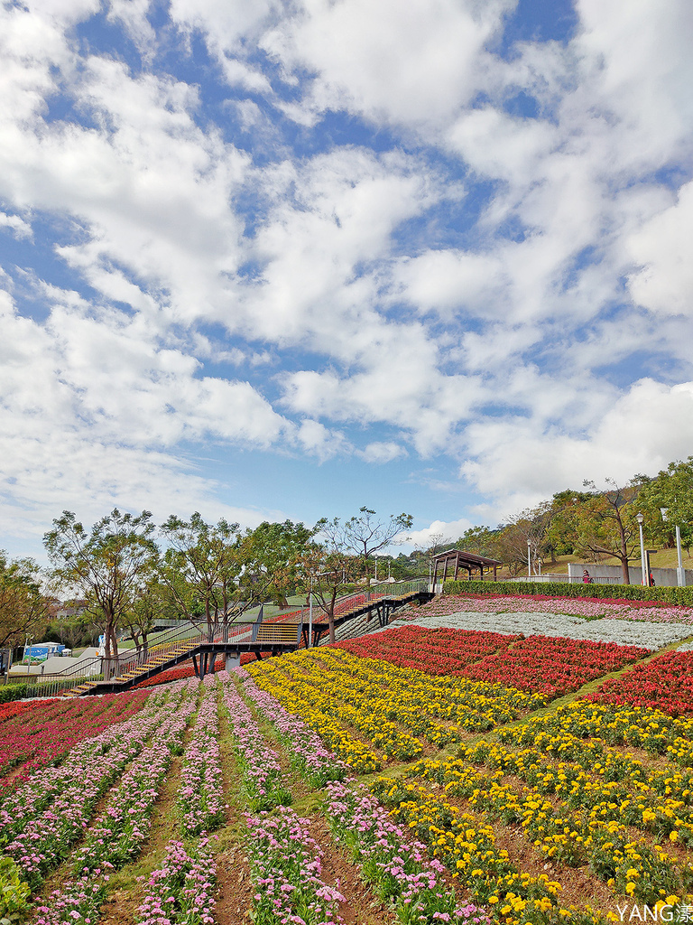 【台北北投】北投社三層崎公園，台版富良野美麗花海，2024年