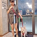 仨弄砂鍋煲