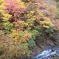 鳴子峽