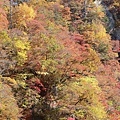 鳴子峽