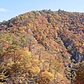 鳴子峽