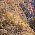 鳴子峽