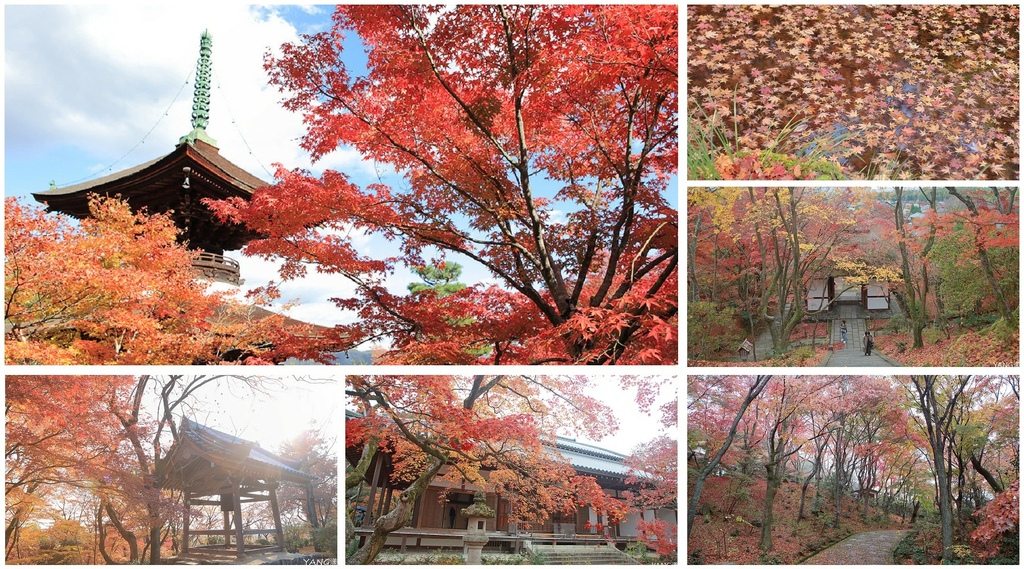【京都嵐山紅葉】小倉山常寂光寺,嵐山賞楓必去景點 【京都嵐山紅葉】小倉山常寂光寺,嵐山賞楓必去景點