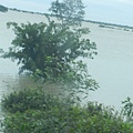 其實旁邊原本都是農田之類的陸地