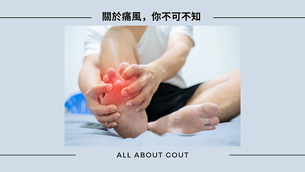 艾初心 ＊ 艾多美與你一起預防與舒緩風吹來就痛的「痛風」