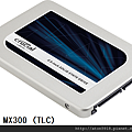 CTXXXMX300SSD1_02.png