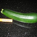 zucchini 5