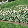 Boston Public Garden.JPG