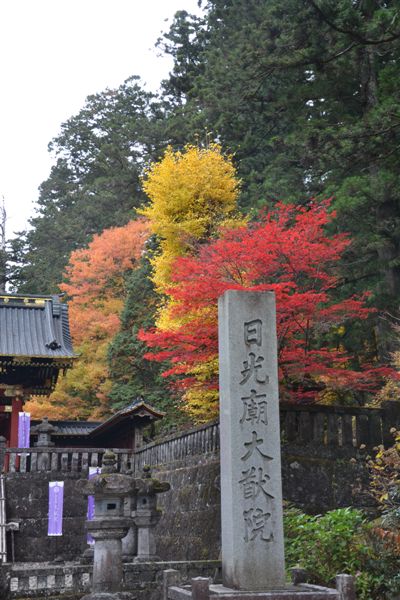 日本日光箱根 193.jpg