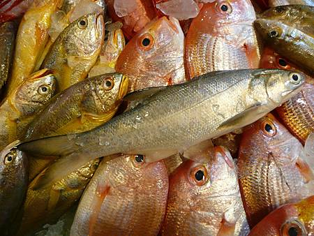 台灣魚類封神榜 一午二紅沙三鯧四馬加 隱花雅集 痞客邦 台灣魚類封神榜 一午二紅沙三鯧四馬加 隱花雅集 痞客邦