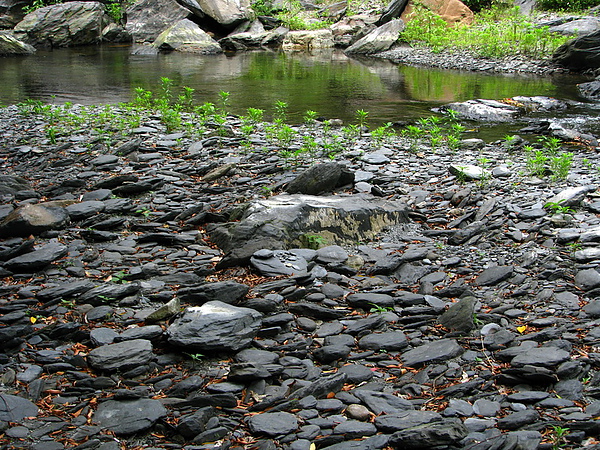 河道旁的板岩.jpg
