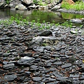 河道旁的板岩.jpg