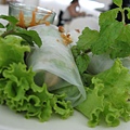 小球的春捲