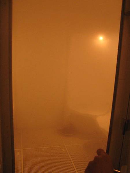 有超級新又漂亮的steam room