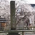 到了醍醐寺了