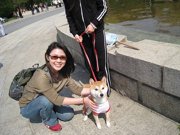 阿犬特集之穿裙子的阿柴