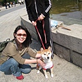 阿犬特集之穿裙子的阿柴